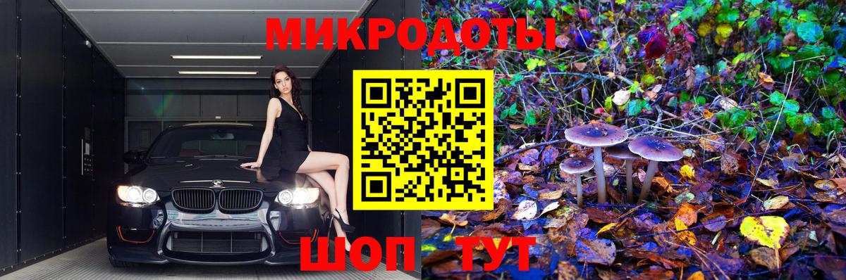 Галлюциногенные грибы Cubensis Карачаевск