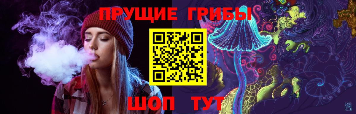 Карачаевск  Галлюциногенные грибы GOLDEN TEACHER  Вход с VPN  Псилоцибиновые грибы Psilocybe 